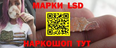 стафф Пенза