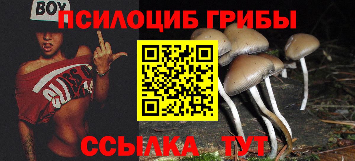 Псилоцибиновые грибы MAGIC MUSHROOMS Псков