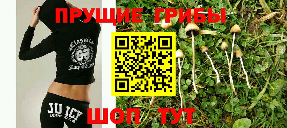 Галлюциногенные грибы прущие грибы  Вход с VPN  Псков 
